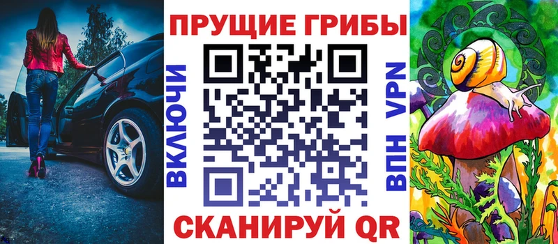 как найти   Гвардейск  Псилоцибиновые грибы Psilocybine cubensis 